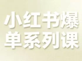 小红书爆单系列课，聚焦小红书电商全链路增长