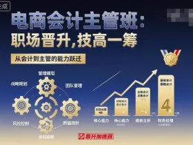 电商会计主管班，职场晋升，技高一筹