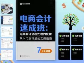 电商会计速成班，电商会计全程处理的技能
