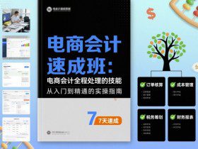 电商会计速成班，电商会计全程处理的技能
