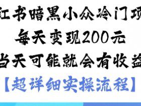 小红书暗黑小众冷门项目每天变现2张当天可能就会有收益