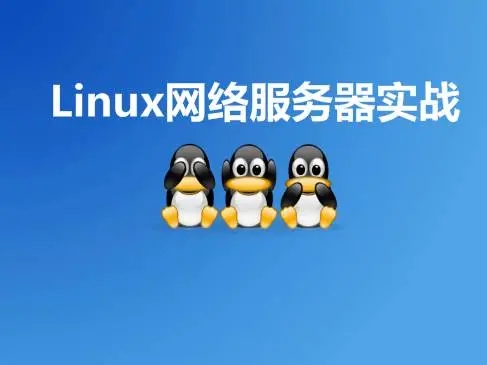 Linux网络服务器实战视频课价值399元