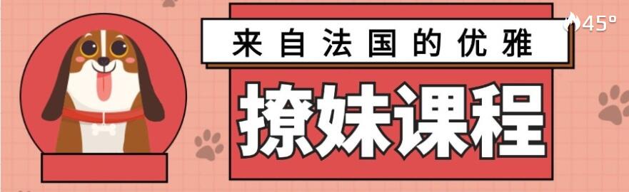 来自法国的优雅撩妹课程【完结】3.2G