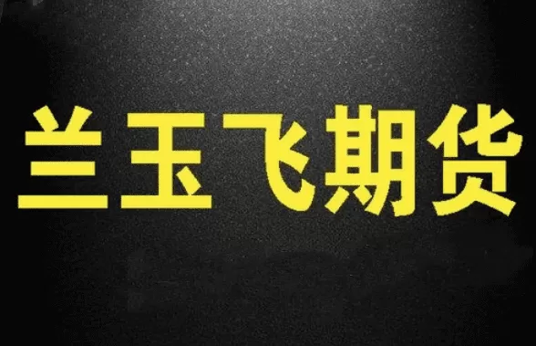 兰玉飞三节课学会期货趋势交易系统视频课程