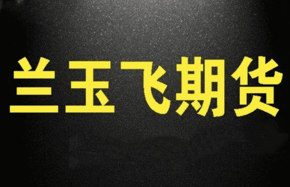 兰玉飞三节课学会期货趋势交易系统视频课程