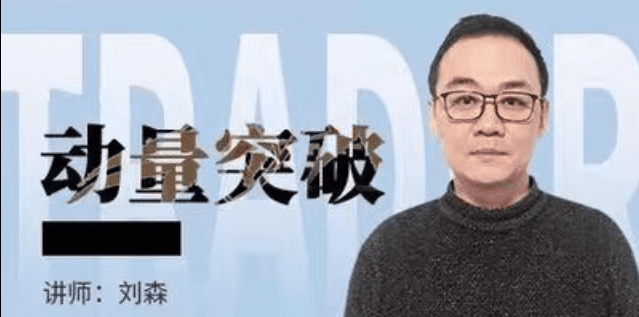 刘森 期货标准动量突破培训视频课程