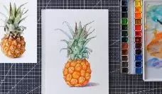 拓山明钢笔淡彩课程合集【画质不错有课件】