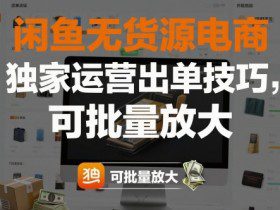 闲鱼无货源电商，独家运营出单技巧，可批量放大