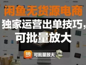 闲鱼无货源电商，独家运营出单技巧，可批量放大
