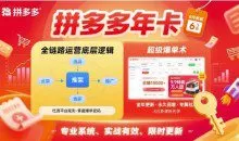 拼多多年卡【更新10月】拼多多全链路运营底层逻辑，超级爆单术