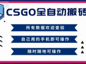 CSGO全自动搬砖，年底钱回家好项目，当天可拿到结果，新手小白轻松月入1W+【揭秘】