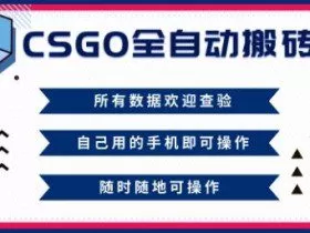 CSGO全自动搬砖，年底钱回家好项目，当天可拿到结果，新手小白轻松月入1W+【揭秘】