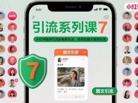 引流系列课7，小红书矩阵引流获客新玩法，低风险图文高效引流