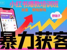 小红书爆款培训班，小红书获客野路子流量打法，暴力持续获客