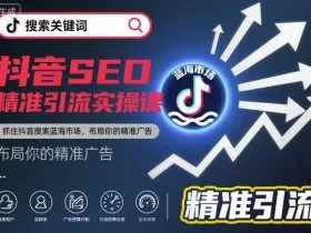 抖音SEO精准引流实操课，抓住抖音搜索蓝海市场，布局你的精准广告