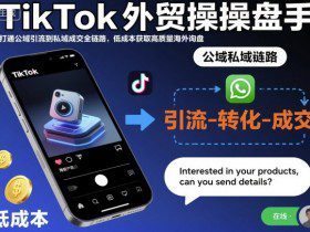 TikTok外贸操盘手，打通公域引流到私域成交全链路，低成本获取高质量海外询盘