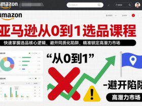 亚马逊从0到1选品课程，快速掌握选品核心逻辑，避开同质化陷阱，精准锁定高潜力市场