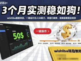 3个月实测稳如狗！wishlba最新项目，一键运行日入50美刀，单窗口躺挣，保姆级教程全给你【揭秘】