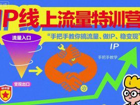 IP线上流量特训营，手把手教你搞流量、做IP、稳变现