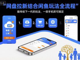 网盘拉新结合闲鱼玩法全流程，能传给下一代的玩法，一部手机即可搞定（附入口渠道以及实操教程）