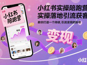 小红书实操陪跑营，实操落地引流获客，教你打造一个持续引流变现的账号