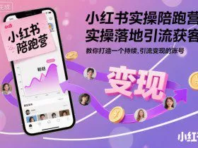 小红书实操陪跑营，实操落地引流获客，教你打造一个持续引流变现的账号