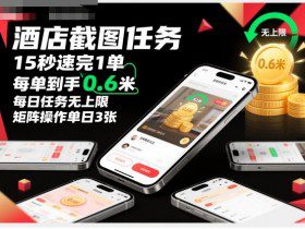 酒店截图任务，15秒速完1单，每单到手0.6米，每日任务无上限，全网首发玩法，矩阵操作单日3张【揭秘】