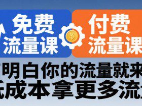 拼多多免费流量课+付费流量课，搞明白你的流量就来了，低成本拿更多流量