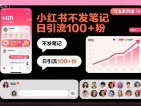 引流系列课14：小红书不发笔记日引流100+粉