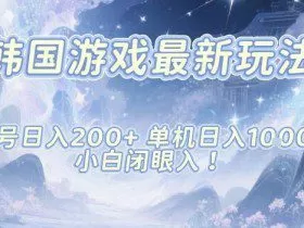 韩国游戏最新玩法，单号收益200+，单机收益1k+，小白闭眼入【揭秘】