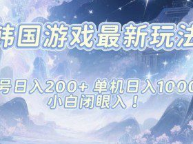 韩国游戏最新玩法，单号收益200+，单机收益1k+，小白闭眼入【揭秘】