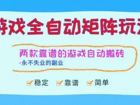 两款靠谱的游戏全自动搬砖项目，日入1k+，稳定可矩阵，永不失业的副业【揭秘】