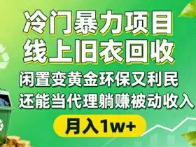 冷门暴力项目，线上旧衣回收，闲置变黄金环保又利民，还能当代理躺賺被动收入，变现+精准引流全流程