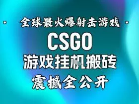 【年底大揭秘】基于全球最火爆的射击CSGO游戏挂G搬砖，日入5张+，震撼公开