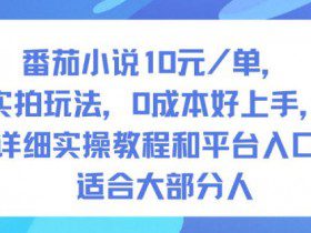番茄小说10米每单，实拍玩法，0成本好上手，详细实操教程和平台入口适合大部分人