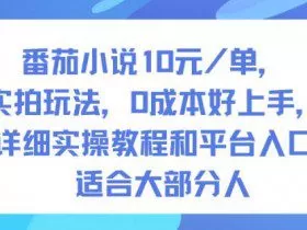 番茄小说10米每单，实拍玩法，0成本好上手，详细实操教程和平台入口适合大部分人