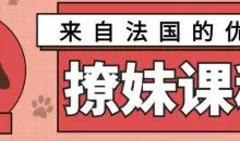 来自法国的优雅撩妹课程【完结】3.2G