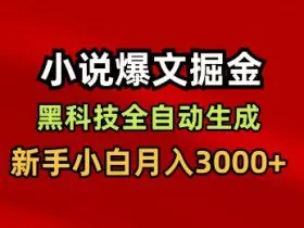 小说爆文掘金，黑科技一键全自动生成，新手小白月入3000+【揭秘】