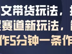 AI图文带货玩法，抖音母婴赛道新玩法，简单操作5分钟一条作品