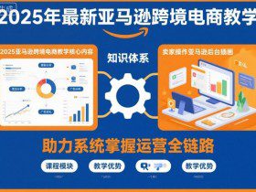 2025年最新亚马逊跨境电商教学，助力卖家系统掌握亚马逊运营全链路知识