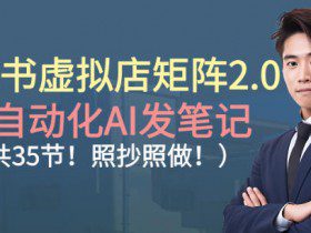 小红书虚拟店矩阵2.0，全自动化AI发笔记，照抄照做（共35节）