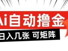 AI自动撸金，日入几张，全自动不占用时间，可矩阵批量放大操作【揭秘】
