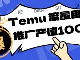 专注于Temu商家提供精准曝光浏览量，助力店铺排名提升和转化，单机日收入80-130【揭秘】