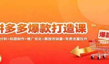拼多多爆款打造课：竞品分析+标题制作+推广优化+黑搜改销量+免费流量拉升