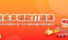 拼多多爆款打造课：竞品分析+标题制作+推广优化+黑搜改销量+免费流量拉升