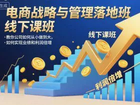 电商战略与管理落地班线下课，教你公司如何从小做到大，如何实现业绩和利润倍增【录音】