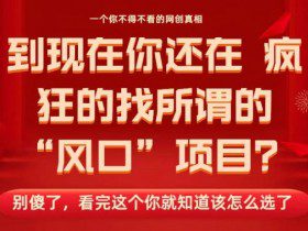 马上26年了，你还在找所谓的风口项目？别傻了，看完这个你全都懂了！【揭秘】