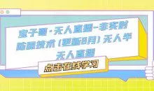宝子哥·无人直播-非实时防风技术（更新11月）