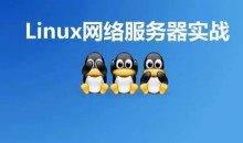 Linux网络服务器实战视频课价值399元