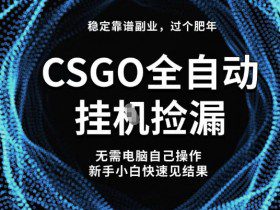 【稳定副业】全球最热门游戏CSGO全自动捡漏，最新玩法，新手小白日入5张+【揭秘】